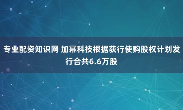 专业配资知识网 加幂科技根据获行使购股权计划发行合共6.6万股