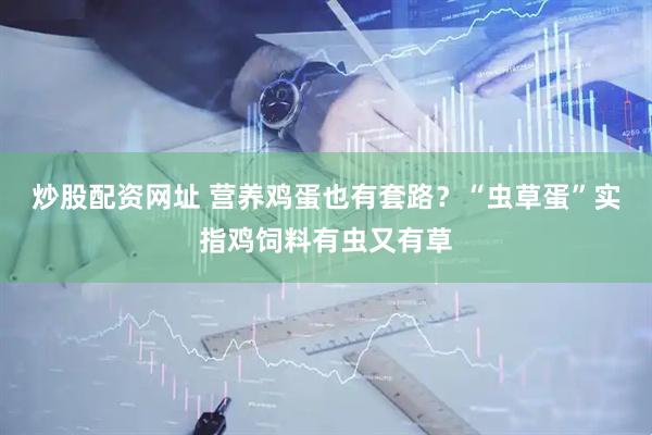 炒股配资网址 营养鸡蛋也有套路？“虫草蛋”实指鸡饲料有虫又有草