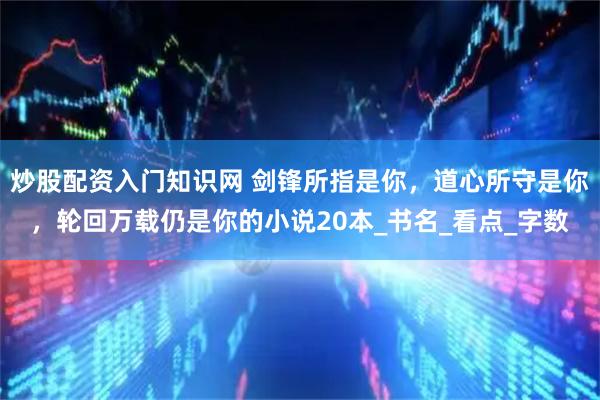 炒股配资入门知识网 剑锋所指是你，道心所守是你，轮回万载仍是你的小说20本_书名_看点_字数